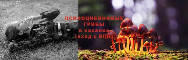 марки lsd Алексин