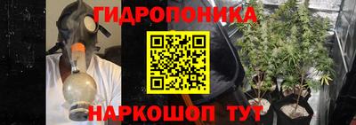 прущие крисы Камышлов