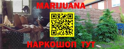 прущие крисы Камышлов