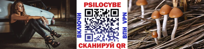 Псилоцибиновые грибы Cubensis  Клин 