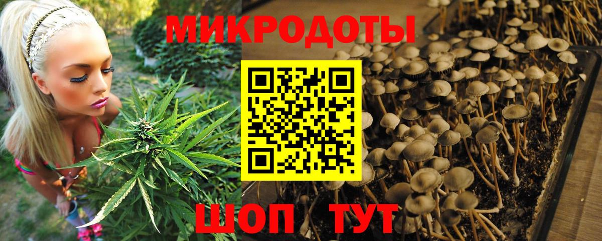 Клин  Галлюциногенные грибы GOLDEN TEACHER  Галлюциногенные грибы GOLDEN TEACHER  Вход с VPN 