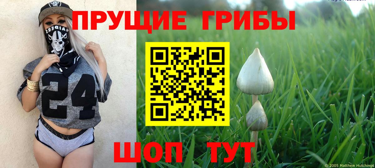 Галлюциногенные грибы MAGIC MUSHROOMS Клин